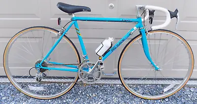 1980's Men's Teal Fuji Palisade 12 Spd Road Bicycle Bike 19  Small Frame • $299