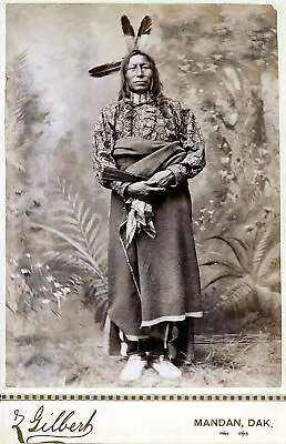 Native American Indian Crow 1880 Portrait Photo Art Print Picture • £4.50