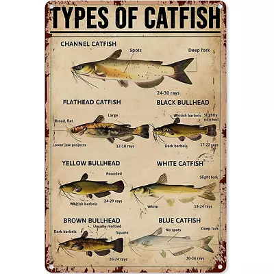 Vintage Fishing Metal Sign Types Of Catfish Knowledge Tin Sign Plaque Wall Decor • $14.39