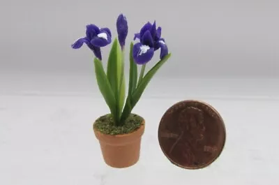 Dollhouse Miniature Purple Iris Flower Plant In Pot G6787 • $5.57