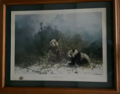 Pandas Of Wolong Signed Print By David Shepherd No 1043 • £190