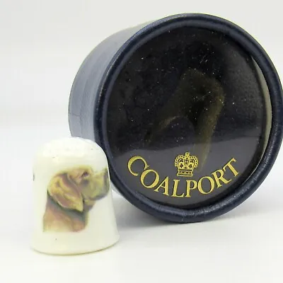 Coalport Collectable Bone China Thimble German Weimaraner (boxed) • £7.39