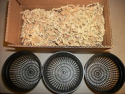 Three 5 Inch Net Pots With New Zealand Sphagnum Moss • $12.74