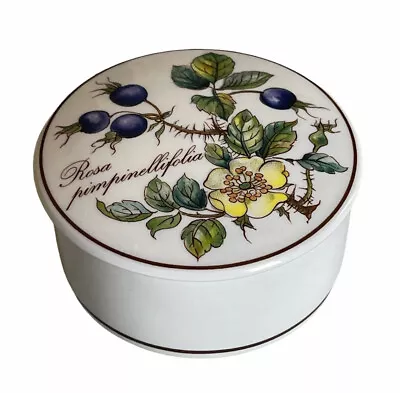 Villeroy & Boch Botanica Rosa Pimpinellifolia Round Porcelain Trinket Box W/Lid • $15.99