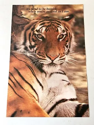 Vintage Argus Tiger Funny Workplace Educational Humor Poster -21” X 14”-#42628 • $29.99