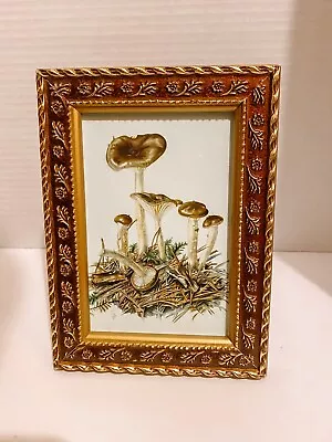 Vintage Botanical Mushroom Art Field Guide Print Cottagecore Style Gold Frame • $15