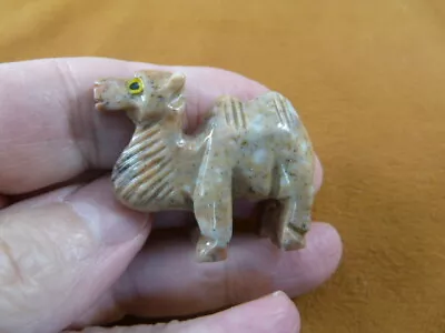 (Y-CAM-31) Tan CAMEL Camels Desert Dromedary SOAPSTONE FIGURINE Gemstone Carving • £8.54