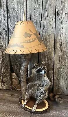 New. FullBody Raccoon Lamp Mount. Excellent Work Unique Beautiful Piece • $1200