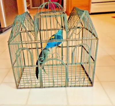 VTG Lg Decorative Green  Metal Wire Bird Cage Dome & Fancy Bird 14  X 13  X 9  • $49.95