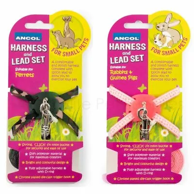 Ancol Ferret Rabbit Guinea Pig Harness And Lead Set Adjustable Small Animal • £6.40