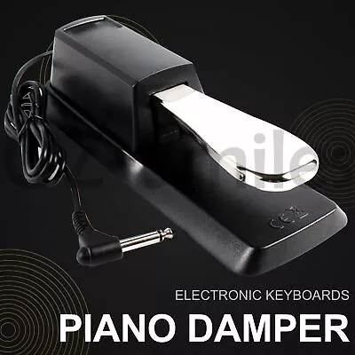 Piano Damper Sustain Pedal Foot Switch For Electric Yamaha Casio Roland Keyboard • $16.95