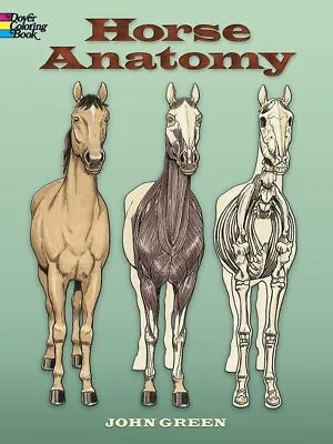 Horse Anatomy Coloring Book (Dover Nature Coloring Book) • £4.16