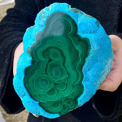 3.61LB Natural Chrysocolla/Malachite Transparent Cluster Rough Mineral Sample • $141.50