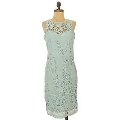 Marina Lace Dress Size 6 Sleeveless Sheath Medium Sea Green Sage NEW B82 • $49.59