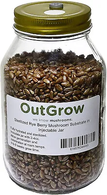 Quart Jar Of Sterilized Rye Grains With Self Healing Injection Port • $17.99