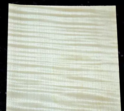 Curly Maple Wood Veneer Sheet 6 X 31 Inches 1/42nd                    4666-39 • $8.99