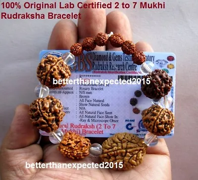 Rudraksha 2 3 4 5 6 7 Mukhi (Face) Beads Mala Wrist Band Bracelet~Lab Certified  • $15.90