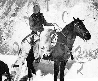 Antique 8x10 Photo Reprint Hunter Cowboy Mountain Lion Cougar On Horseback • $11.99
