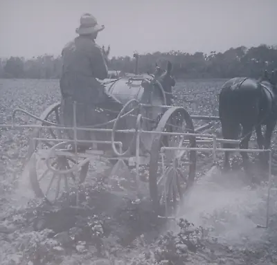 Spraying Arsenate Of Lead Near Norfolk Virginia Magic Lantern Glass Slide • $3.95