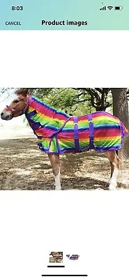 Miniature Weanling Donkey Pony Horse Foal Summer FlySheet Neck Blanket51819 • $50