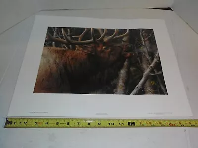 Limited Edition Carl Brenders Print -  Mating Call  Bull Elk 2013 600/850 18x14 • $100