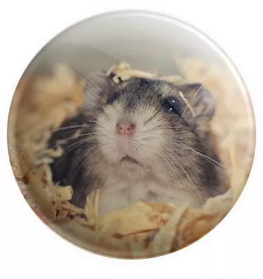 Hamster Fridge Magnet - Birthday - Christmas - Gift - Stocking Filler • £3.99