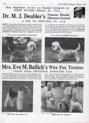 £2.99 • Buy Dandie Dinmont Terrier Salismore Dog Kennel Advert Page 1958 Jimmy Butler