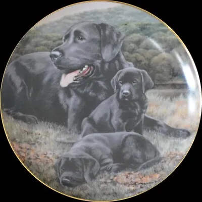 £13.90 • Buy ‘Like Father Like Son’ Collectors 8” Plate By Nigel Hemming Black Labrador Dogs 