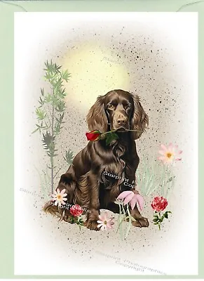 Cocker Spaniel Dog Brown / Sprocker (4 X 6 ) Blank Card Ideal For Any Occasion. • £2.85