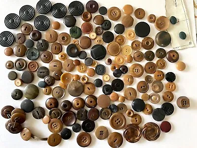 Large Selection Of Antique Vegetable Ivory Buttons • $15