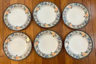 Set Of 6 Mikasa Intaglio Garden Harvest Salad Sandwich Luncheon Plates 8 1/4  #2 • $54.95