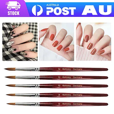 Kolinsky Acrylic Nail Art Brush Manicure Powder Professional Tools Size #6-14 AU • $7.99