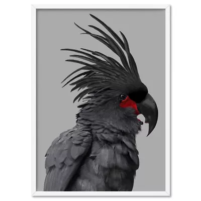 Black Palm Cockatoo Wall Art. Modern Style Parrot. Framed Or Unframed | ANA-12 • $22.95