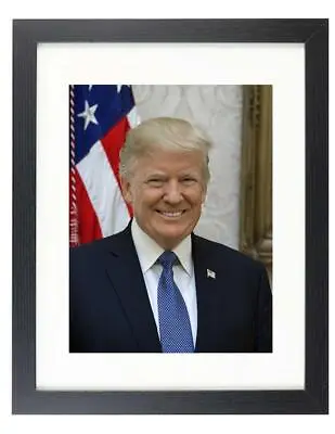 $93.04 • Buy President Donald Trump Portrait Republican GOP 8X10 Framed & Matted Photo