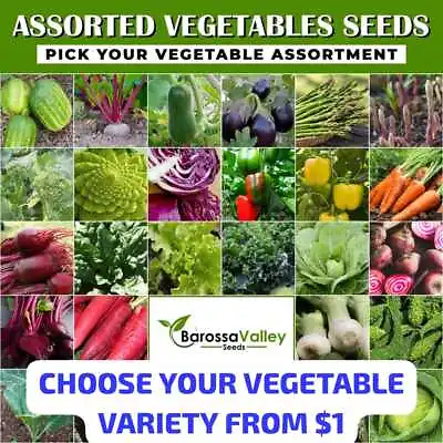 VEGETABLE GARDEN SEEDS   CHOOSE YOUR GARDEN 250+ VARIETY  Vegetable Seeds • $2.66