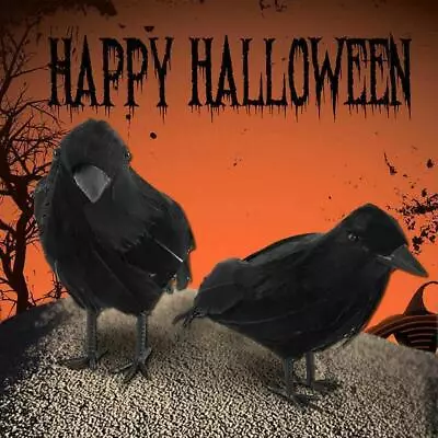 Black Lifesize Raven Movie Prop Fake Crow Halloween Hunting Decor Bird 9CM • £4.99