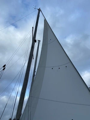$650 • Buy New North Sails Roller-Furling Jib Headsail 5.5 Oz. Dacron White
