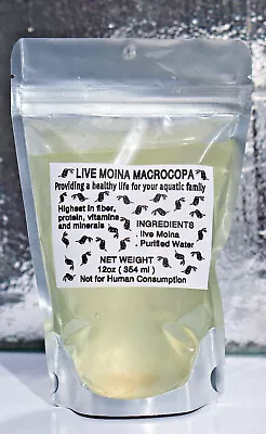 Live Moina Macrocopa Freshwater Indoor Culture Live Fish Food Starting Culture • $9.99
