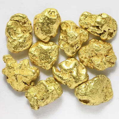 10 Pcs Alaska Natural Gold - Size 0.5-1mm - TV Gold Rush Alaska (#.5-1) • $9.99