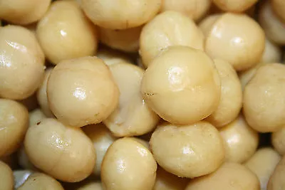 Macadamia Nuts Roasted Salted 3lbs • $61.35