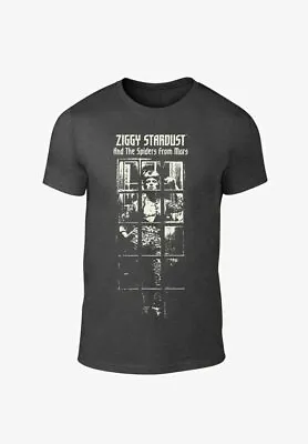 David Bowie Ziggy Stardust Spiders Are From Mars Unisex Grey T-shirt - Size Xs • $5