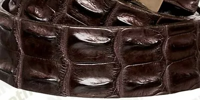 Crocodile Leather Belt Genuine Tan Leather Saltwater Croc Belt • $189.42