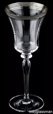 Mikasa Crystal PALATIAL PLATINUM L3235 Water Goblet UNUSED (8 Left) • $23.97