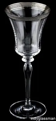 Mikasa Crystal PALATIAL PLATINUM L3235 Water Goblet UNUSED (9 Left) • $31.96