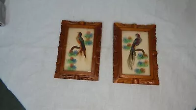 Pair Vintage Mexican Feather Craft Bird Painted Picture Hand Carved Wood Frame • $20