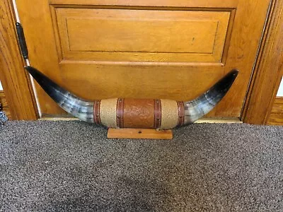 MOUNTED STEER HORNS PRETTY 23  8  Diameter POLISHED MOUNT BULL COW Decorative • $190