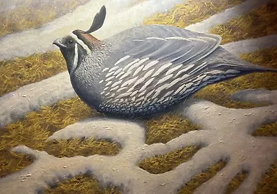 California Quail Original Acrylic Painting • $725