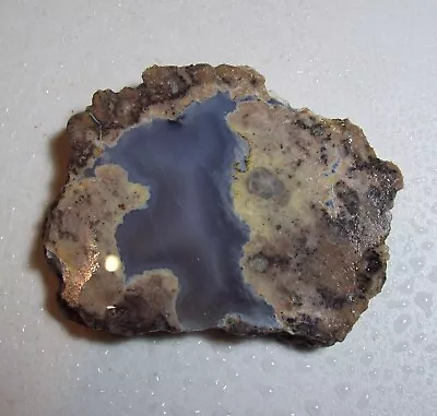 Natural Oregon Succor Creek Thunderegg-Rough/Slab/Cab/Display-2021 • $6.02