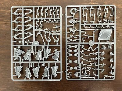 Warhammer The Old World Dark Elf Black Ark Corsairs (10x) • $27.50