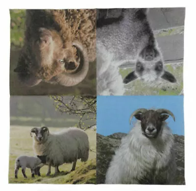 £3.99 • Buy Scottish Delicacies 3 Ply Paper Napkin Brand New